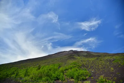 DSC_3626 (Large).JPG